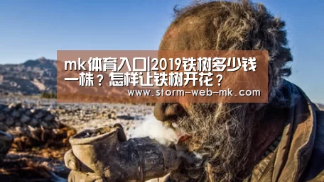mk体育入口|2019铁树多少钱一株?怎样让铁树开花?(图2) mk体育在线